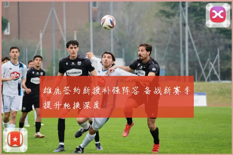 雄鹿签约新援补强阵容 备战新赛季提升轮换深度